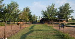 Lotes en barrio cerrado La Rinconada