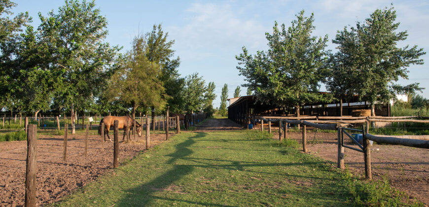 Lotes en barrio cerrado La Rinconada